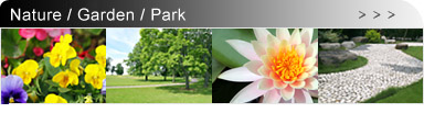 banner_nature_is